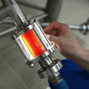 Картинка с пенным и блюдами